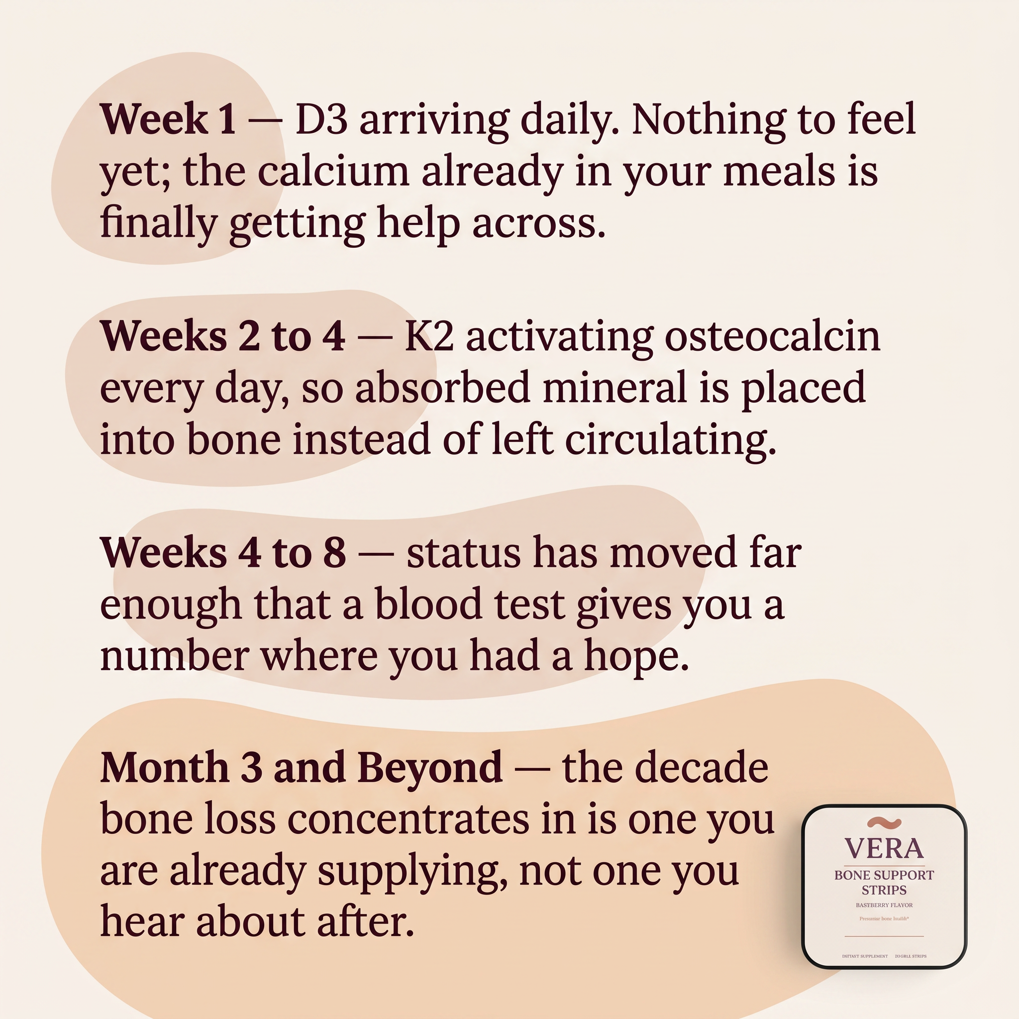 What VERA Bone Support Strips builds from week one to month three v1