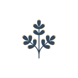 Twenty-two plants on a day that had two