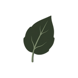The source plant named on the label
