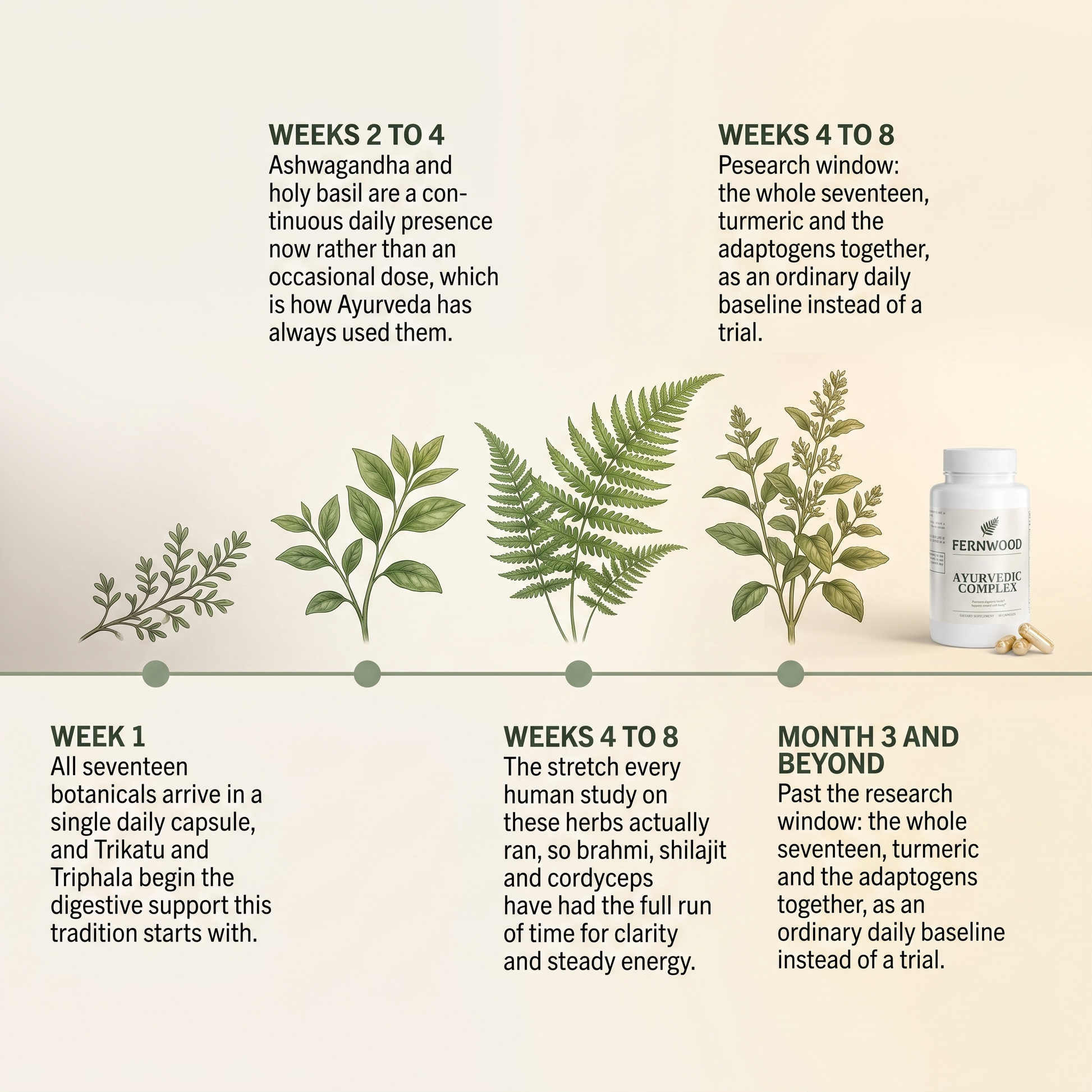 FERNWOOD Ayurvedic Complex timeline v1 - week 1 to month 3 and beyond