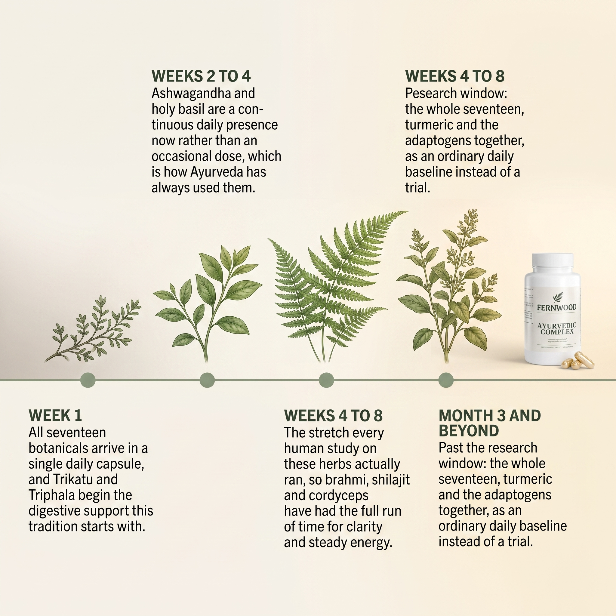 FERNWOOD Ayurvedic Complex timeline v1 - week 1 to month 3 and beyond