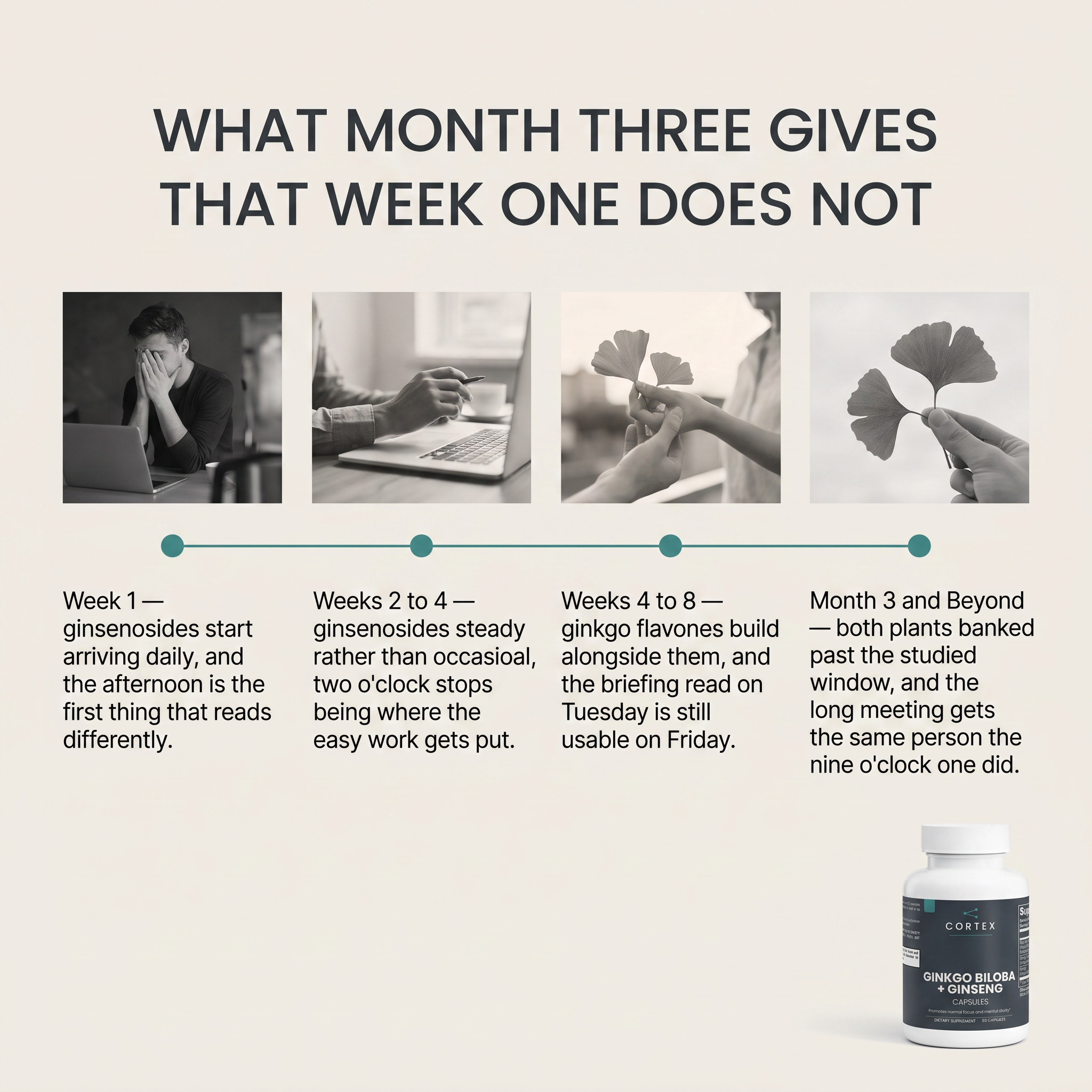What builds on CORTEX Ginkgo Biloba + Ginseng — Week 1, Weeks 2 to 4, Weeks 4 to 8, Month 3 and beyond — v1