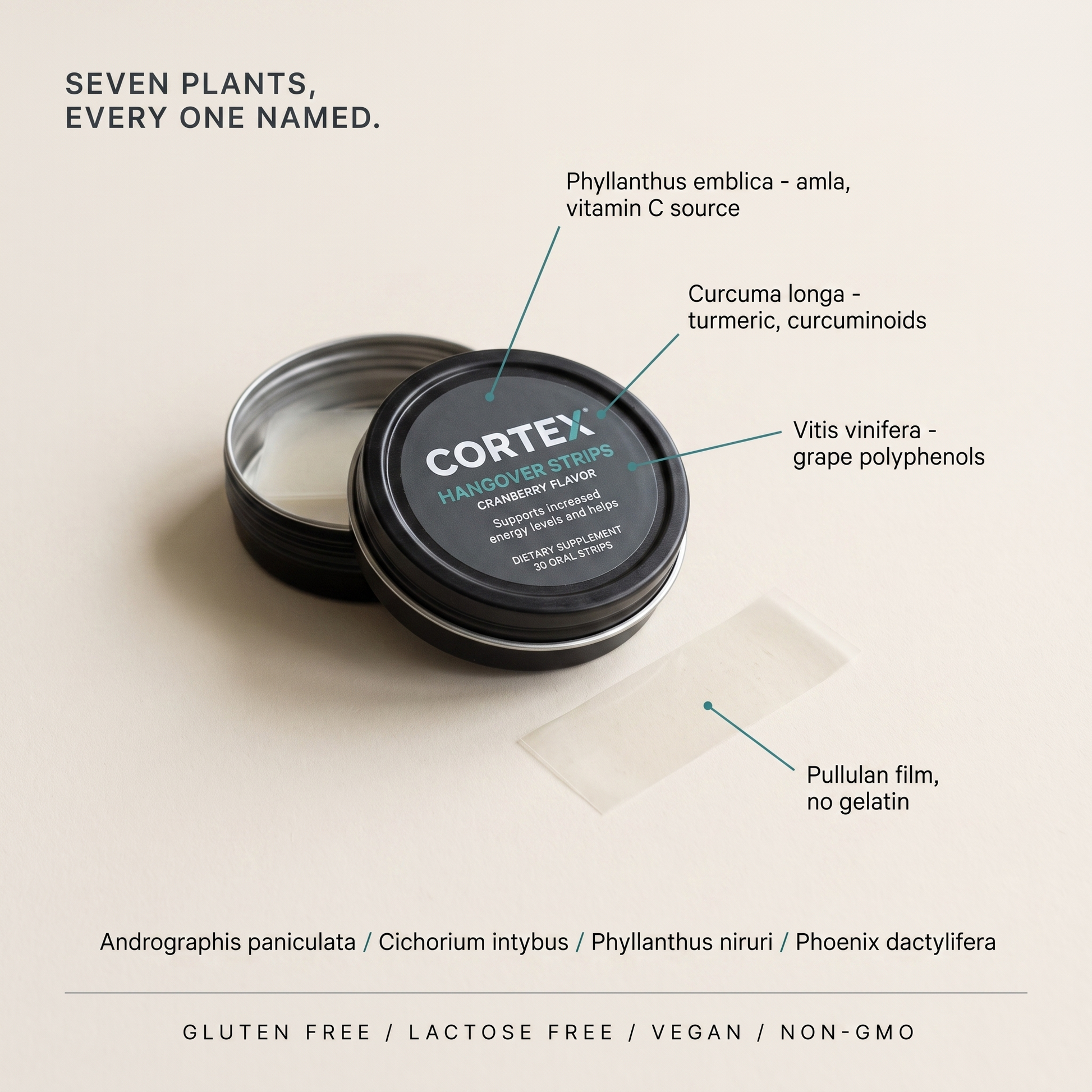 Flat lay of the CORTEX Hangover Strips tin with all seven botanicals named by species and their roles, pullulan film, gluten free lactose free vegan non-GMO v2