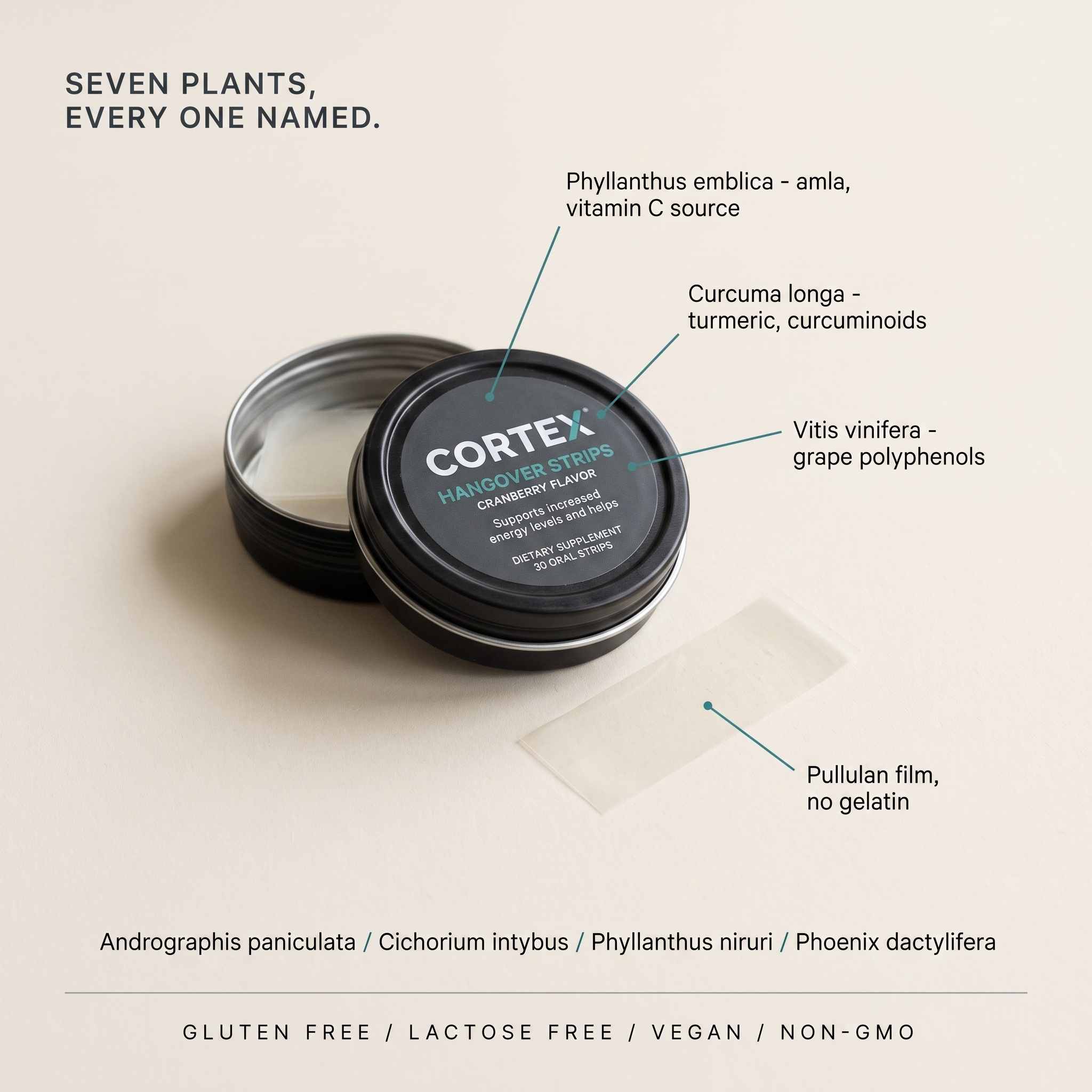Flat lay of the CORTEX Hangover Strips tin with all seven botanicals named by species and their roles, pullulan film, gluten free lactose free vegan non-GMO v2