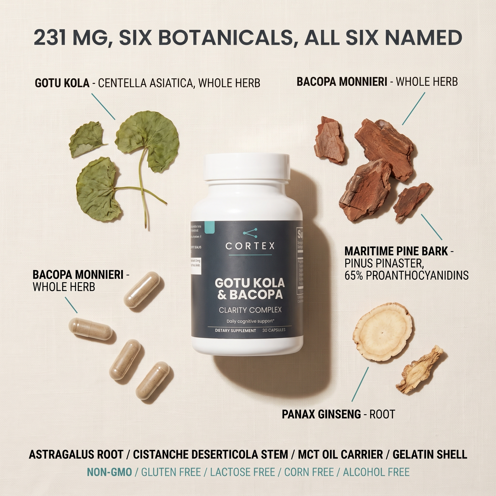 231 mg, six botanicals, all six named - label flat lay v1