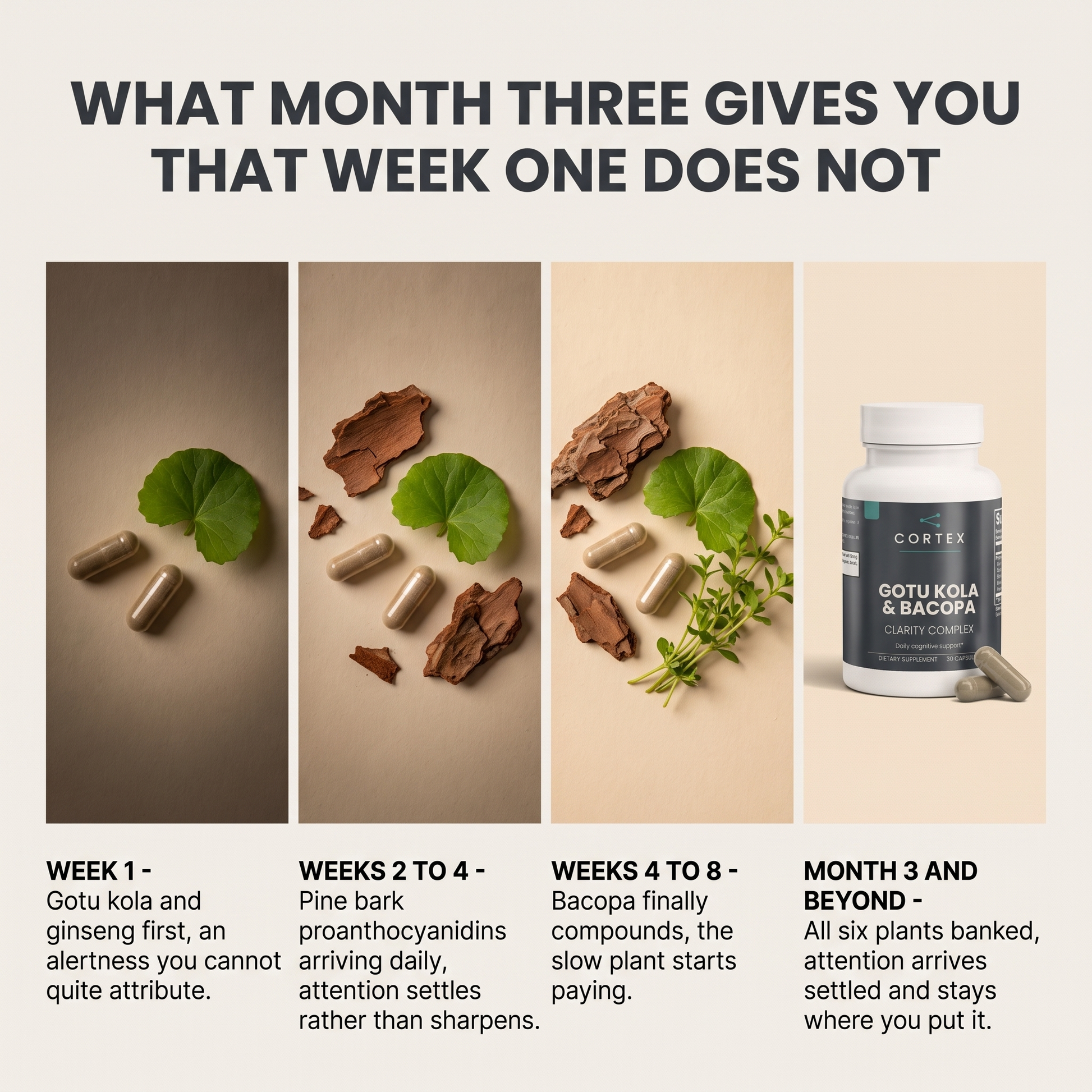 What month three gives you that week one does not - timeline v1