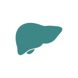 LIVER SUPPORT OVERNIGHT
