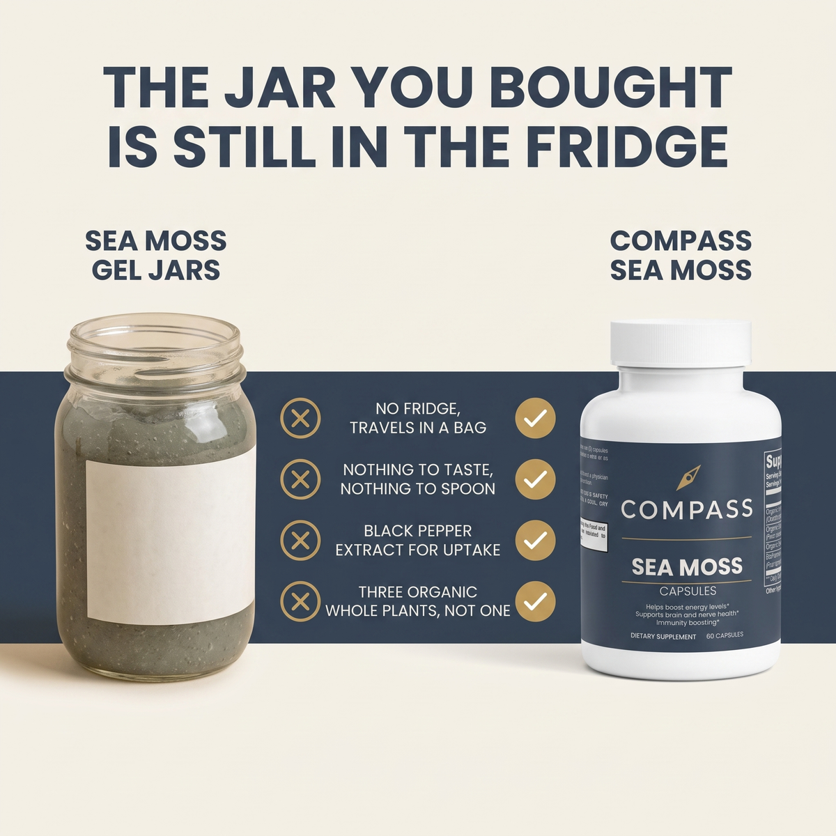 The jar you bought is still in the fridge - COMPASS Sea Moss compared with sea moss gel jars (compass-seamoss-gallery-comparison-v1)