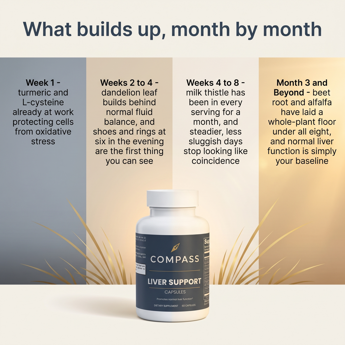 What builds up, month by month (compass-liver-gallery-timeline v1)