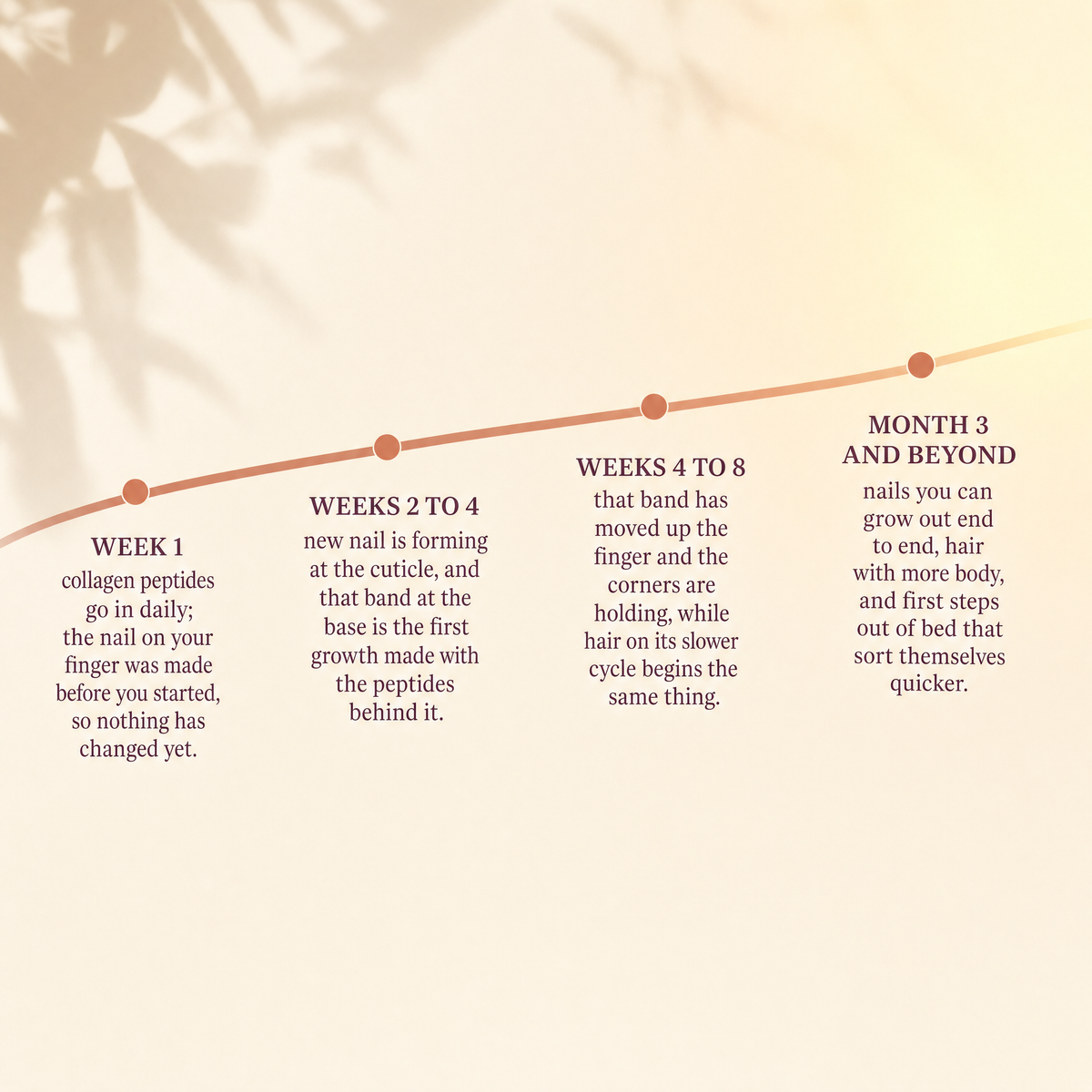 What Vera collagen peptides build over time - week 1, weeks 2 to 4, weeks 4 to 8, month 3 and beyond v1
