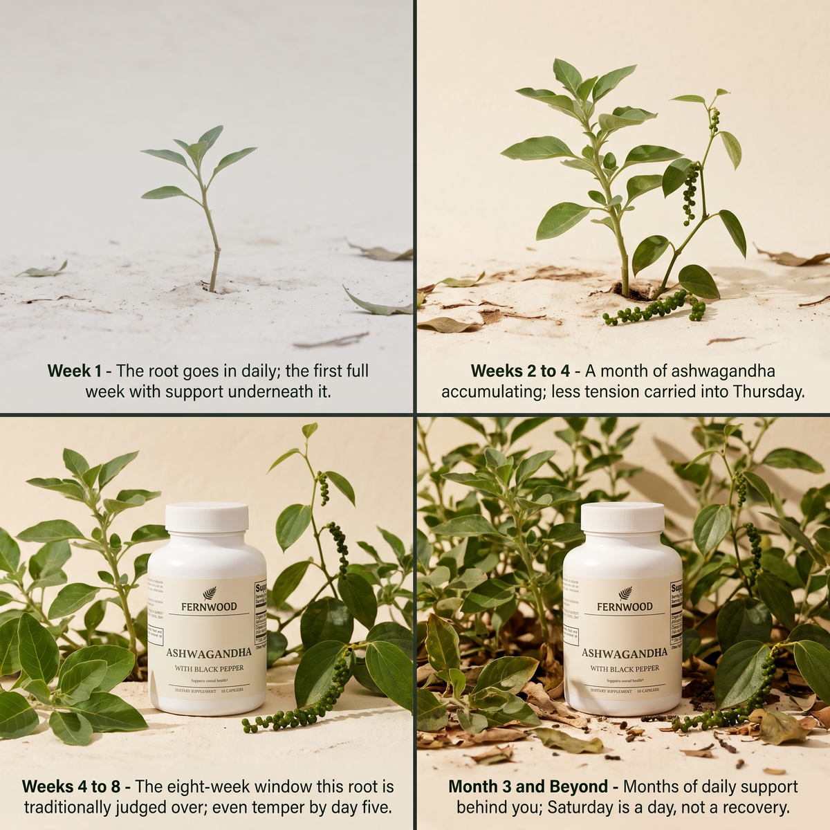 Week 1 to month 3 and beyond, daily ashwagandha support [fernwood-ashwagandha-gallery-timeline-v1]