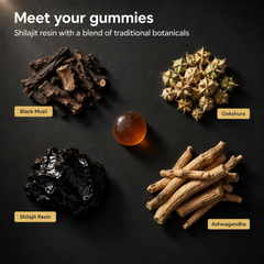 Meet your gummies: shilajit resin, black musli, gokshura and ashwagandha