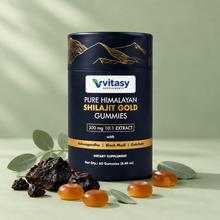 Shilajit Gold Gummies tube on a sage green surface with raw shilajit resin, amber gummies and eucalyptus leaves