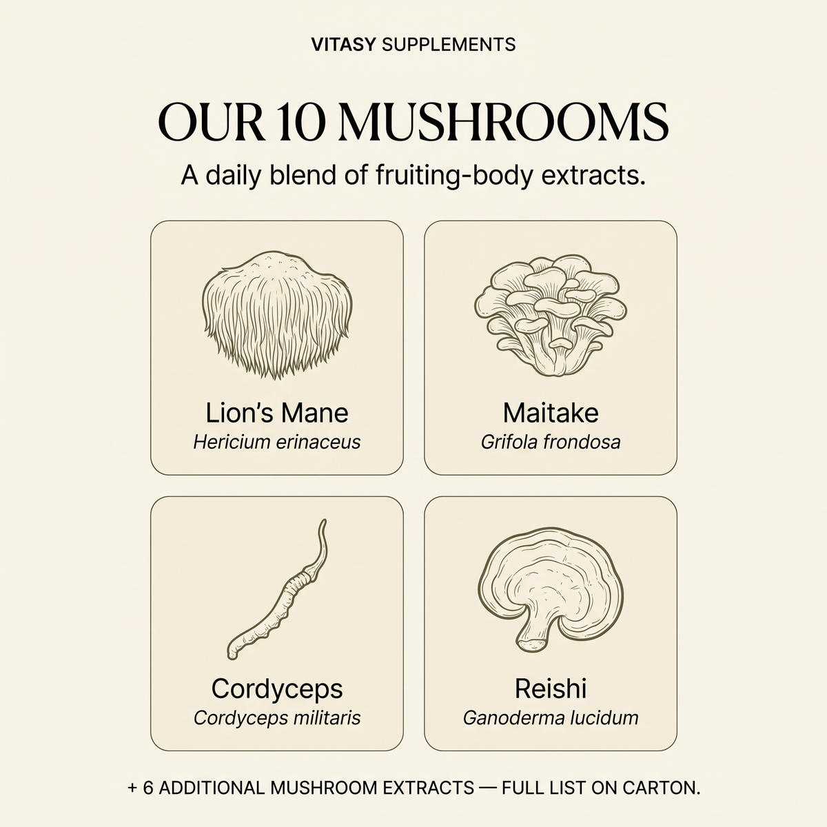 Mushroom Gummies v9 - 10 mushrooms (4 named + 6 on carton)