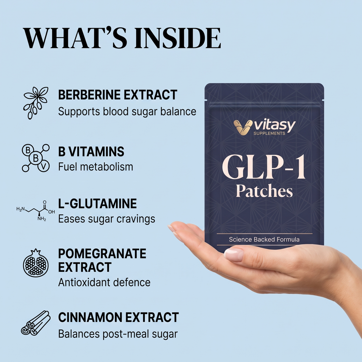 GLP-1 Patches v6 what's inside hand-held pouch