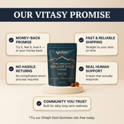 Shilajit Gummies v5.2 vitasy promise guarantee