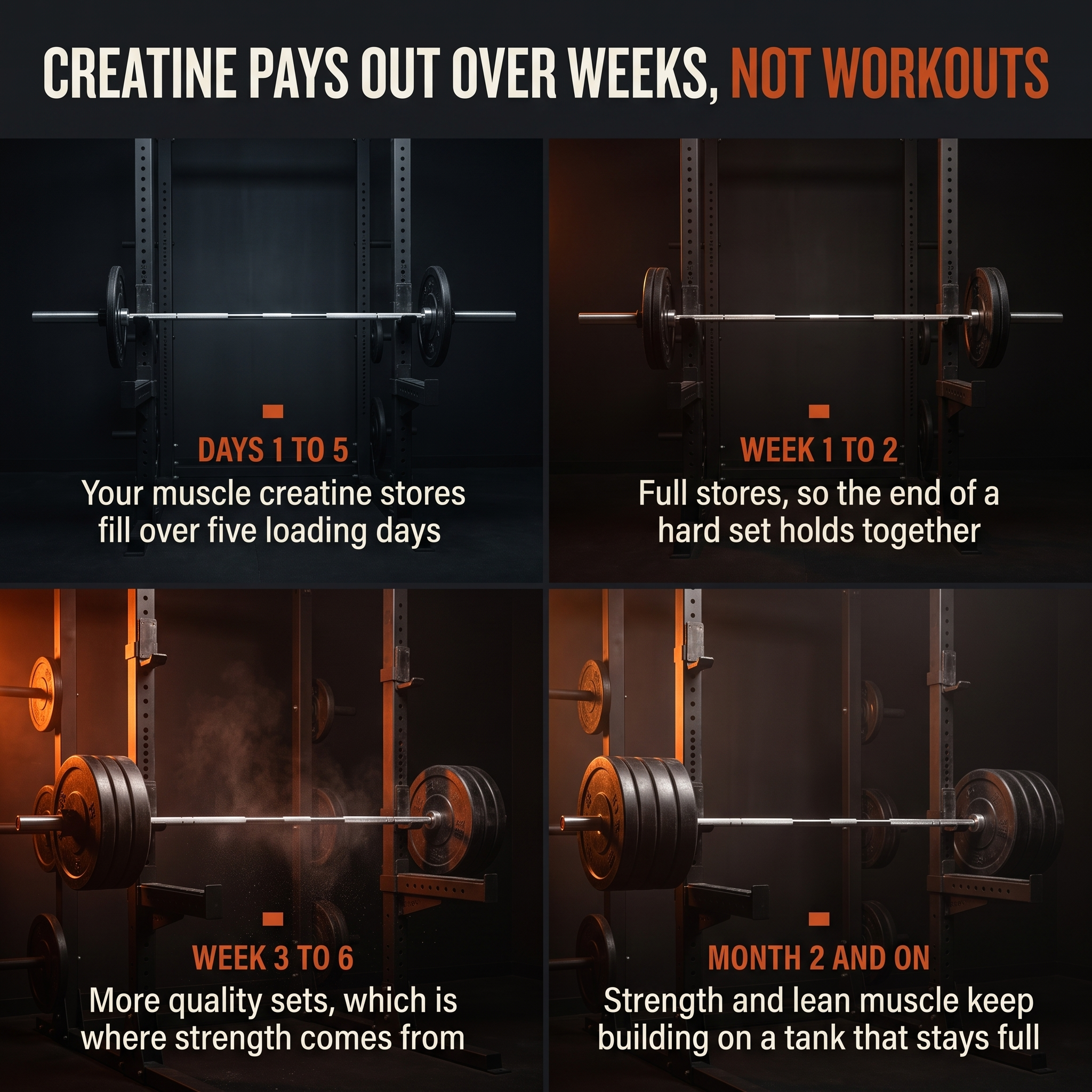 Creatine pays out over weeks, not workouts