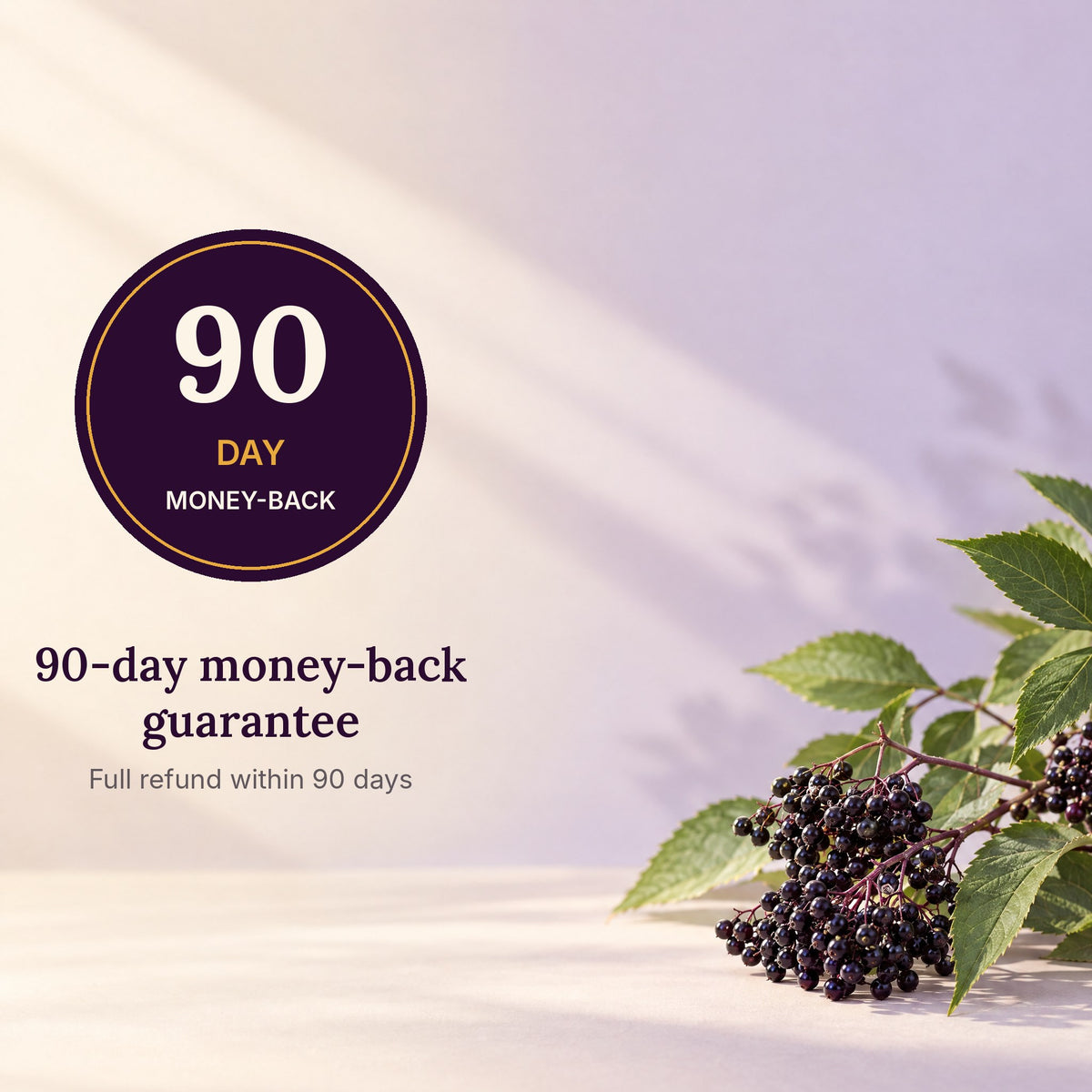 Vitasy 90-day money-back guarantee