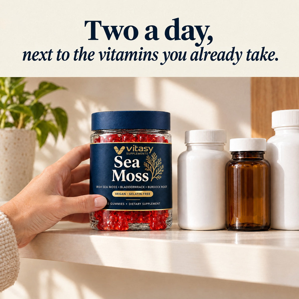 Two sea moss gummies a day, next to the vitamins you already take