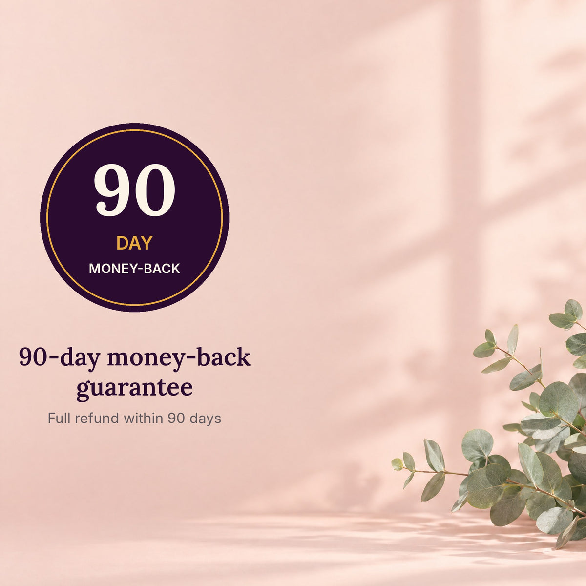 Vitasy 90-day money-back guarantee