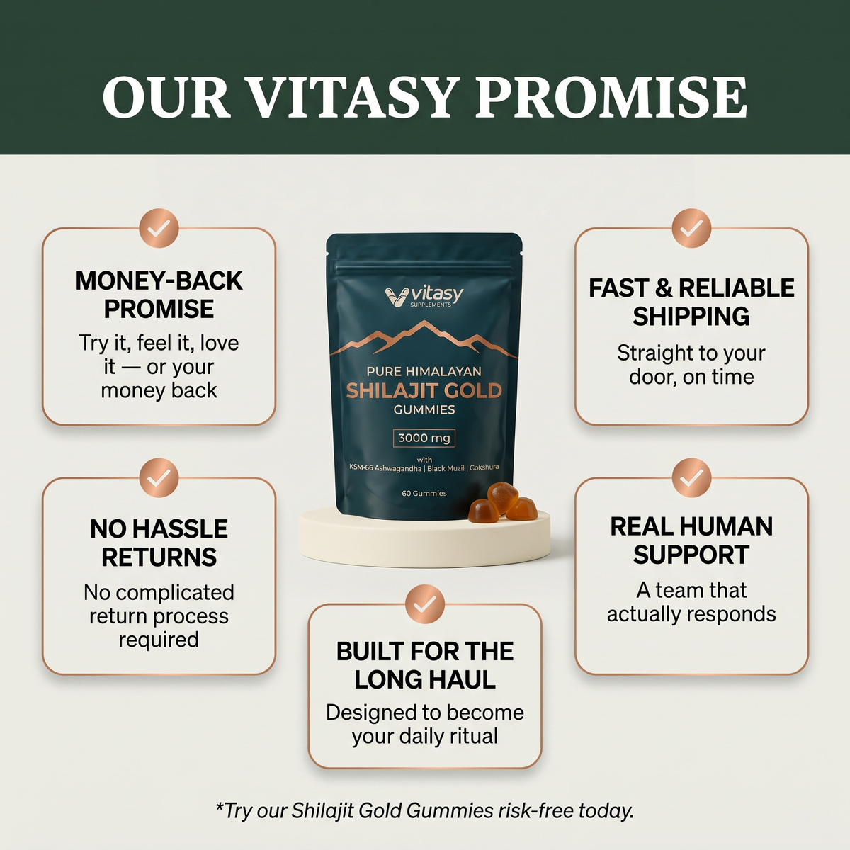 Shilajit Gummies v6.2 vitasy promise guarantee