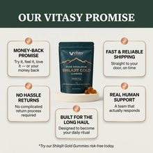 Shilajit Gummies v6.2 vitasy promise guarantee