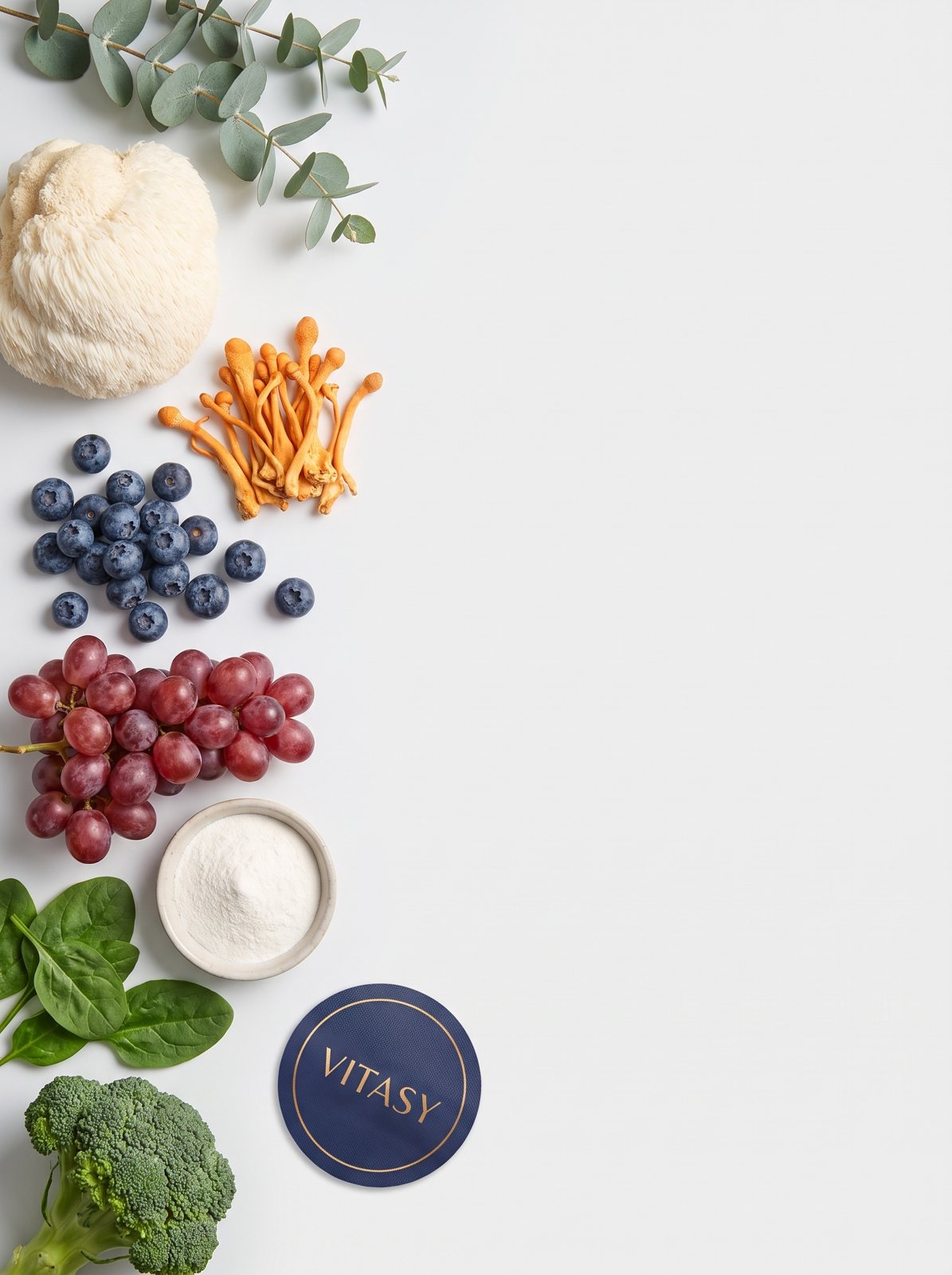 Ingredients of Vitasy NAD+ Patches: NMN, grapes, CoQ10 foods, lion's mane and cordyceps