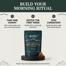 Shilajit Gummies v6.2 build your morning ritual