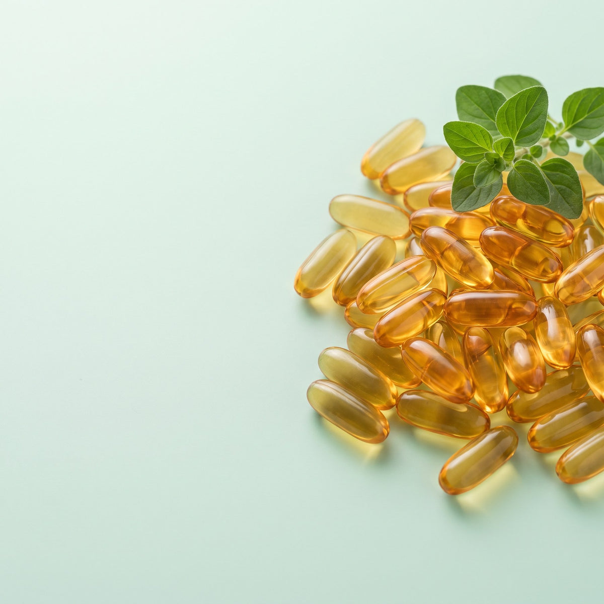 Amber oregano oil softgels with fresh oregano leaves