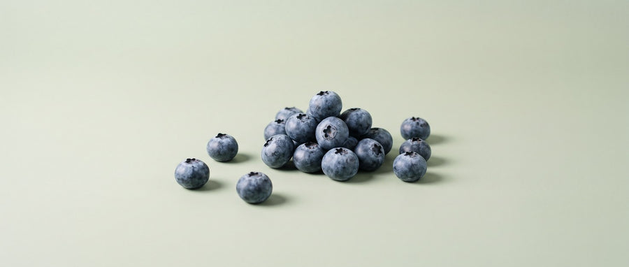 Fresh blueberries