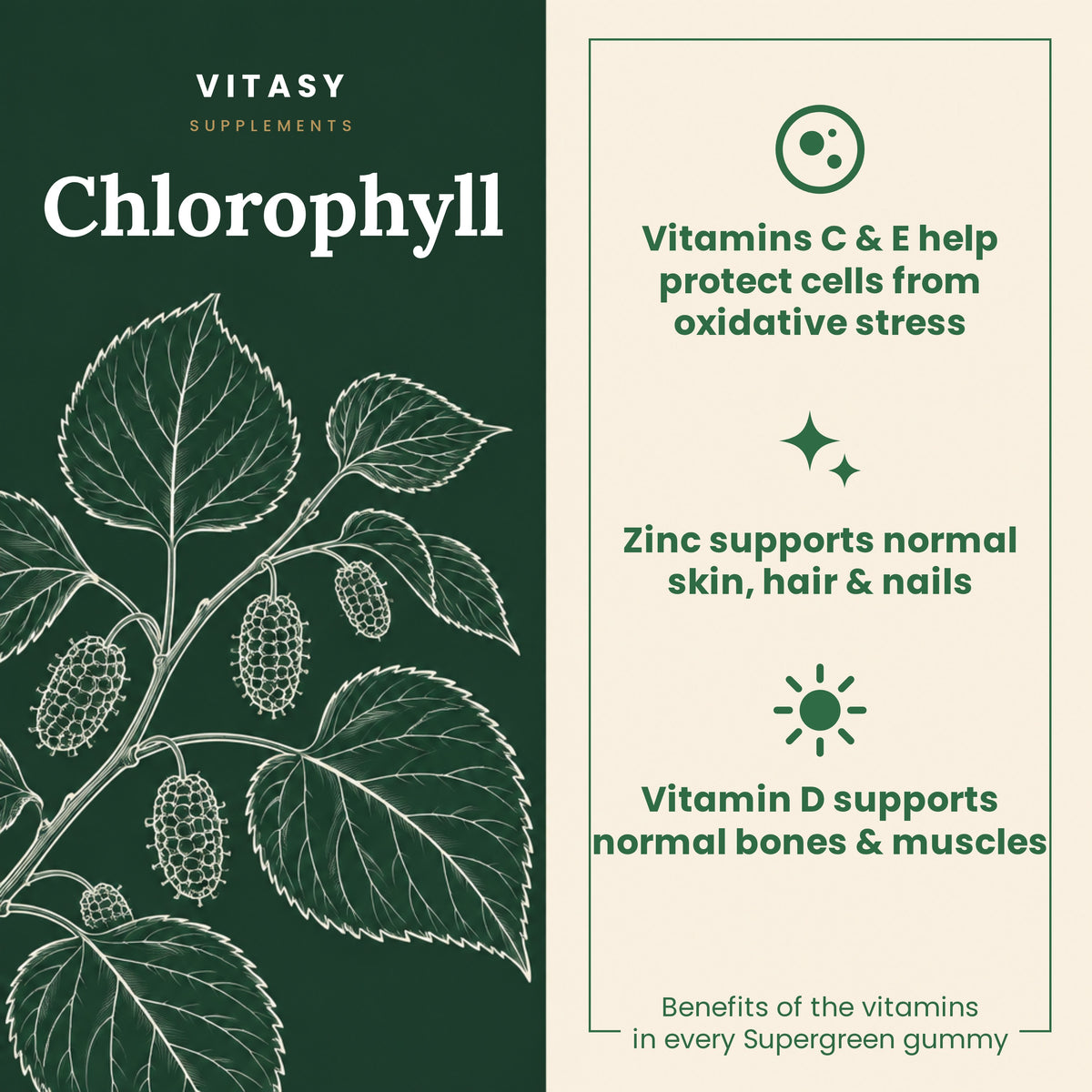 Chlorophyll from mulberry leaves and the vitamin benefits in every Supergreen gummy