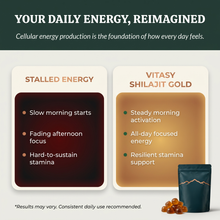 Shilajit Gummies v6.2 daily energy reimagined