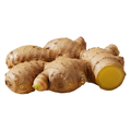 Ginger