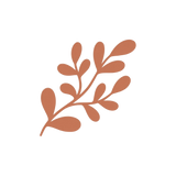 Botanicals Studied In Women