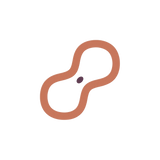 Folate for the cell division hair runs on