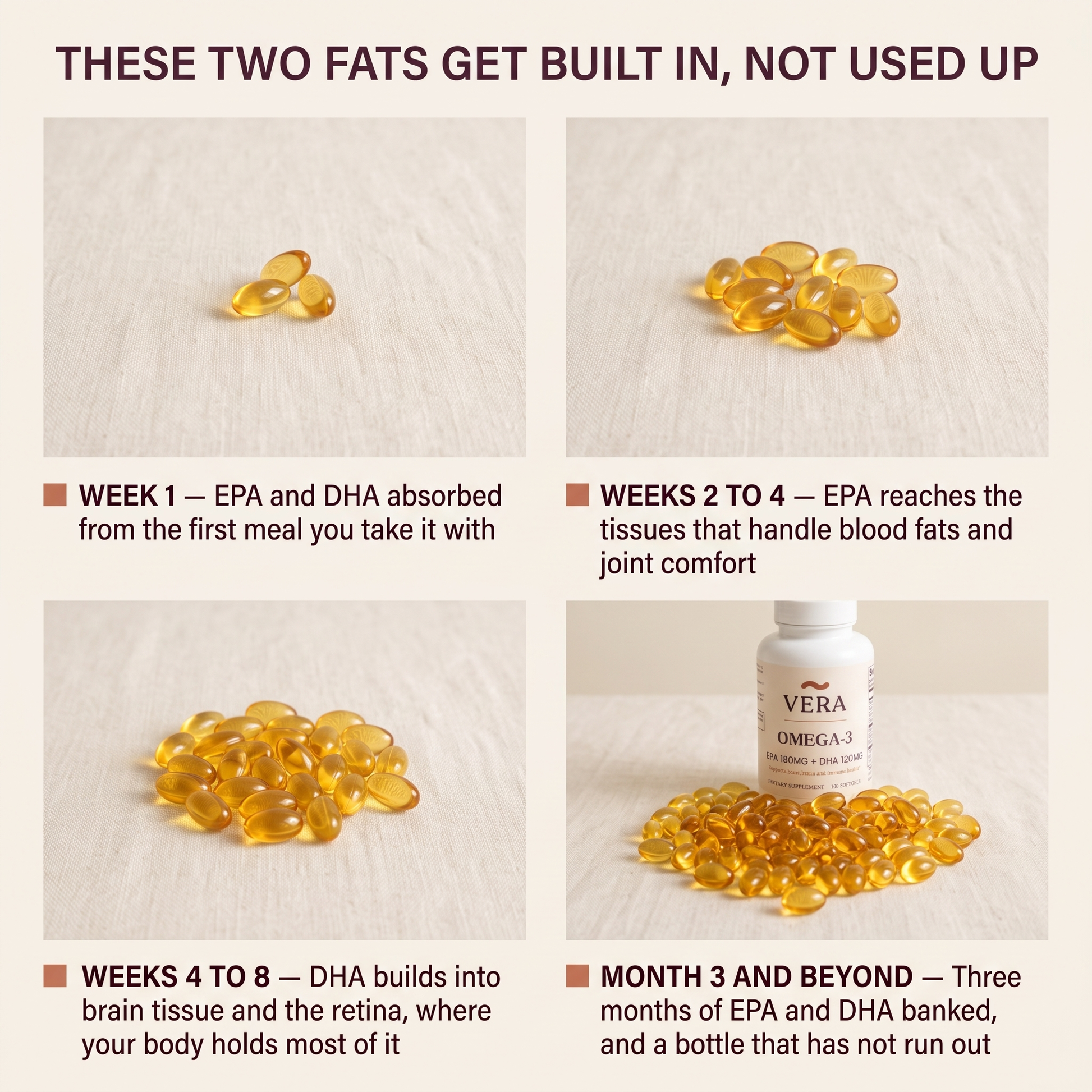 These two fats get built in, not used up
