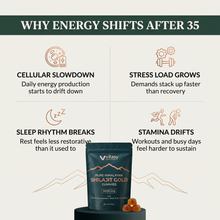 Shilajit Gummies v6.2 why energy shifts after 35
