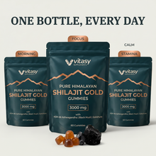 Shilajit Gummies v6.2 one bottle every day