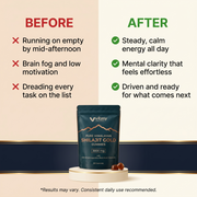 Shilajit Gummies v5.2 before after