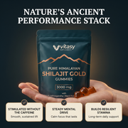 Shilajit Gummies v5.2 ancient performance stack