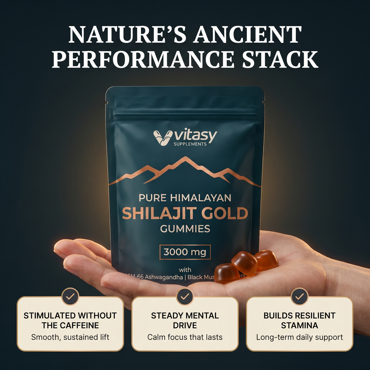 Shilajit Gummies v5.2 ancient performance stack