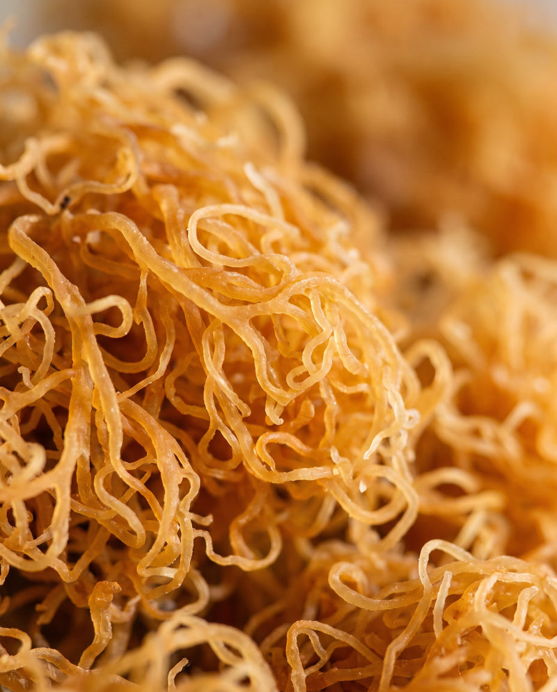 Irish Sea Moss