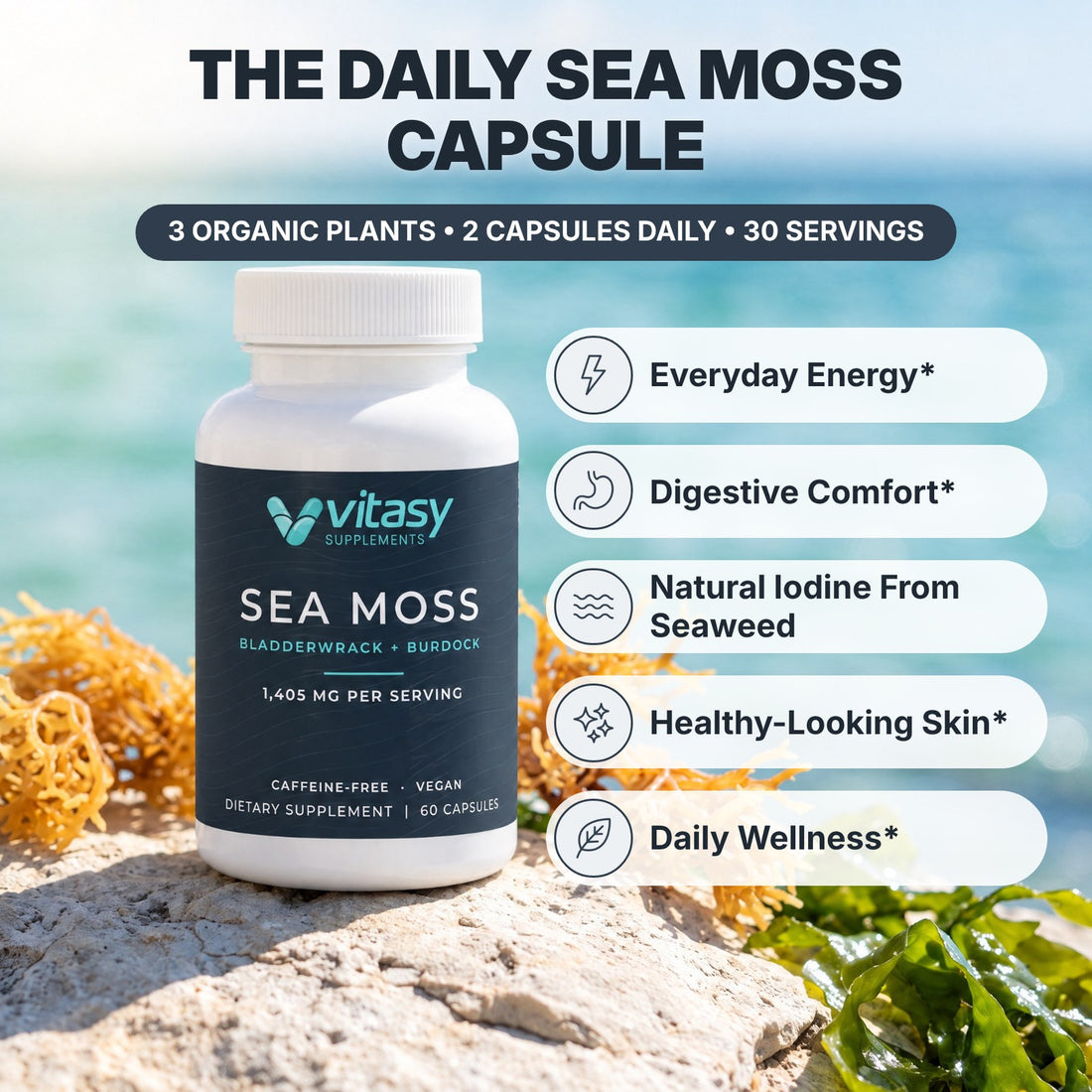 Vitasy Sea Moss Capsules bottle on a coastal rock by the sea