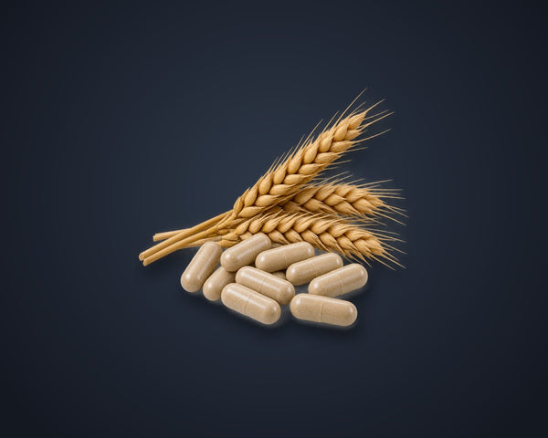 Gluten & Allergen Free