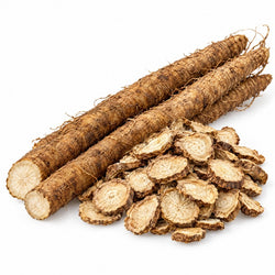 Burdock Root