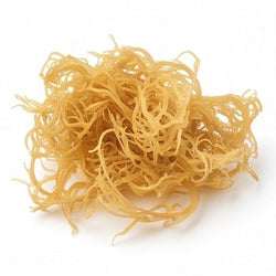 Irish Sea Moss