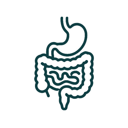 Digestive Support
