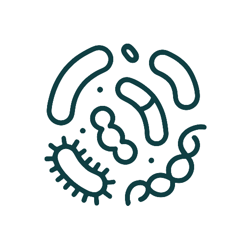 Healthy Bacteria