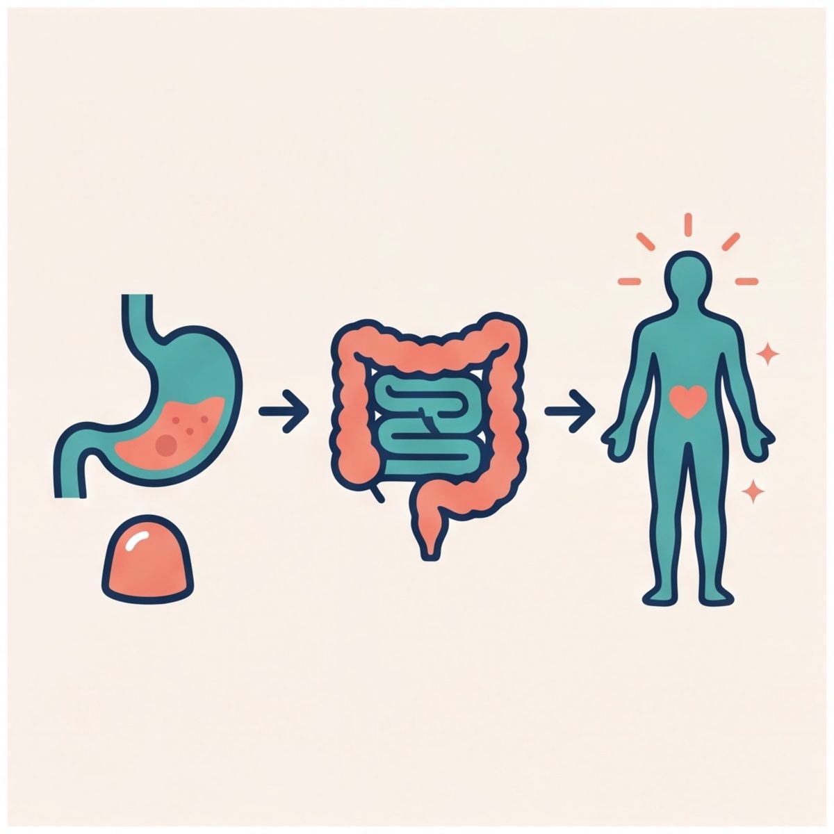 Digestive system and microbiome illustration