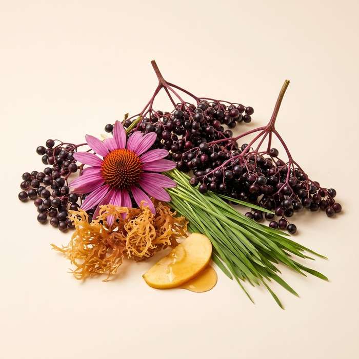 Plant blend
